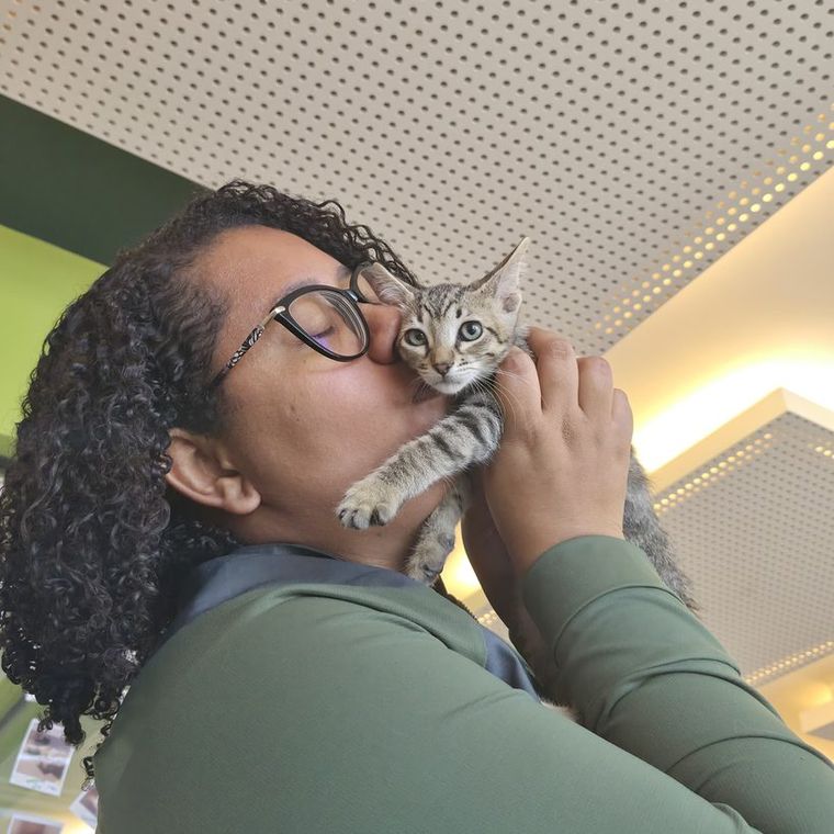 Profissional da Miauz dando um beijo em um filhote de gato